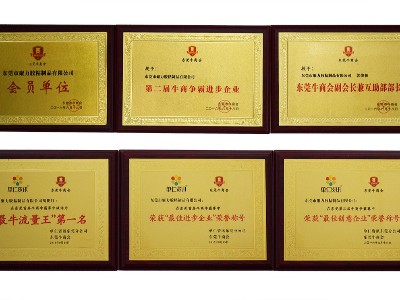 聚力榮譽證書(2)